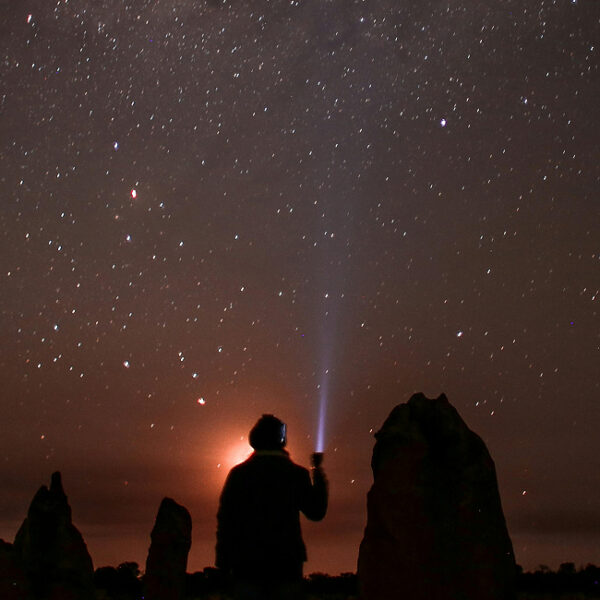 Фестиваль М.И.Р. 