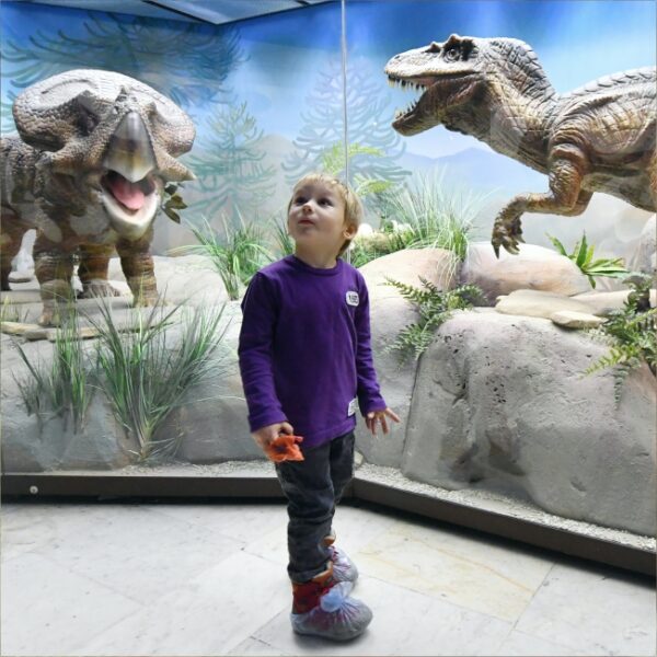 Фестиваль «День рождения в музее» в Дарвиновском музее