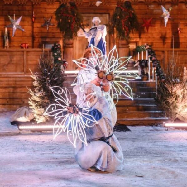 Новый год в музее-заповеднике «Коломенское»