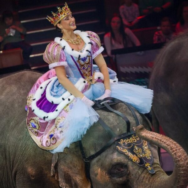 Цирковое шоу «Сказка о Белоснежке и семи гномах» в Большом московском цирке
