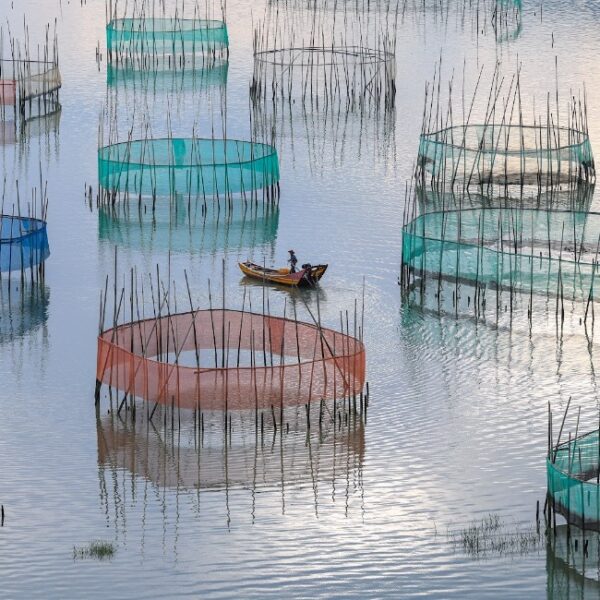 Выставка «О Китае, далёком и близком» в Дарвиновском музее