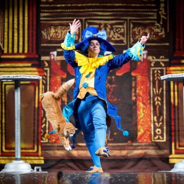 Спектакль «Щелкунчик и кошки»