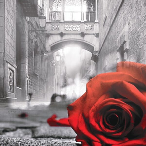 Шоу на льду «Роза любви»