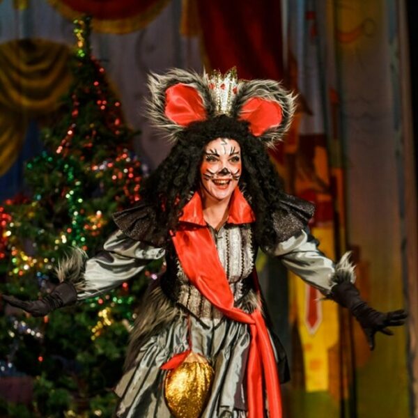 Новый год в Доме Кочневой