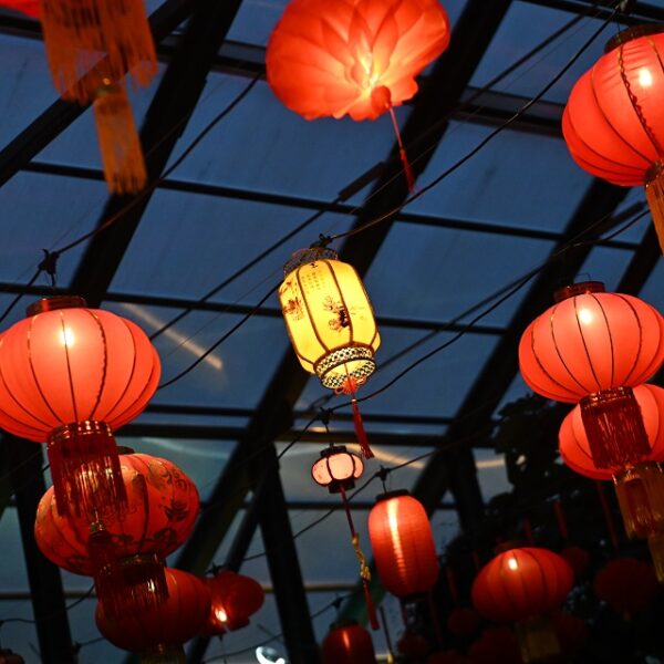 Китайский Новый год в Китайском культурном центре