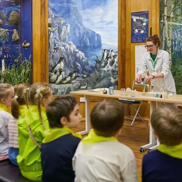 Выставка «Лев в винограднике» в Биологическом музее