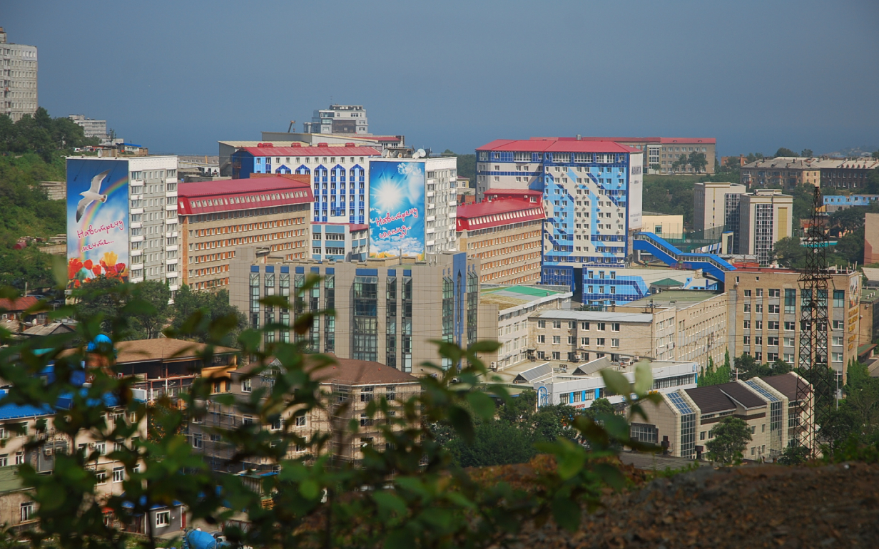 Владивостокский государственный университет 1232