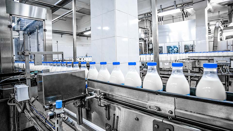 8 лучших молочных заводов в Свердловской области в 2025 году