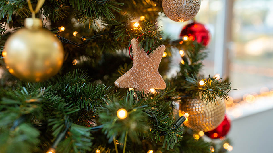 11 лучших искусственных елок в 2025 году