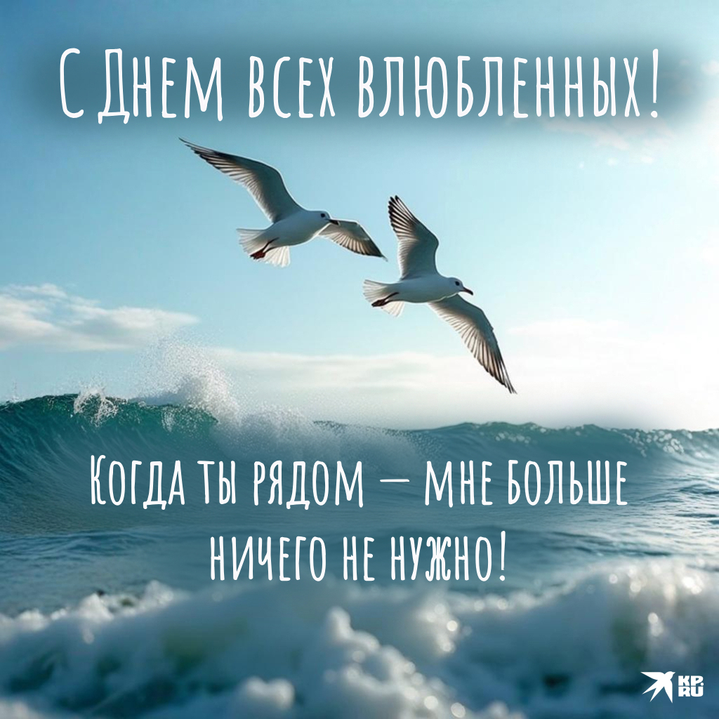 Красивые картинки и открытки на 14 Февраля парню, мужчине, мужу