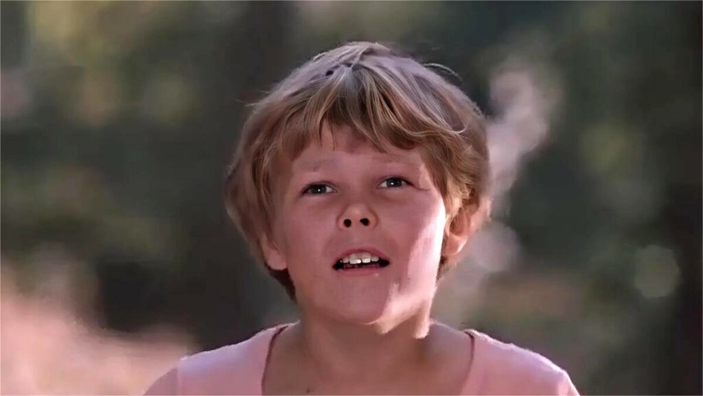 Куда пропал красивый мальчик из сказки «Там, на неведомых дорожках» Роман Монастырский