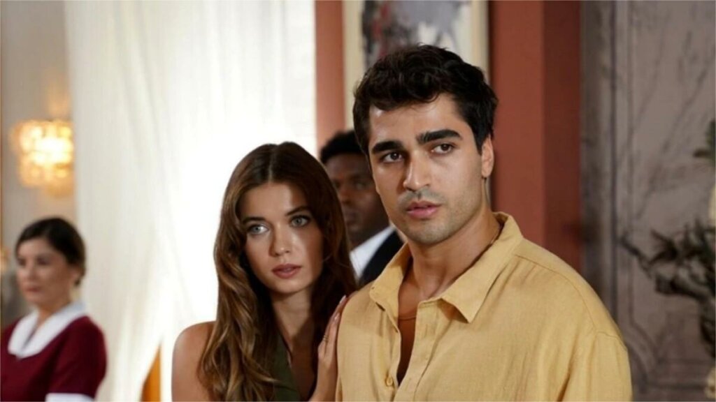 «Зимородок» стал самым критикуемым турецким сериалом в 2024 году