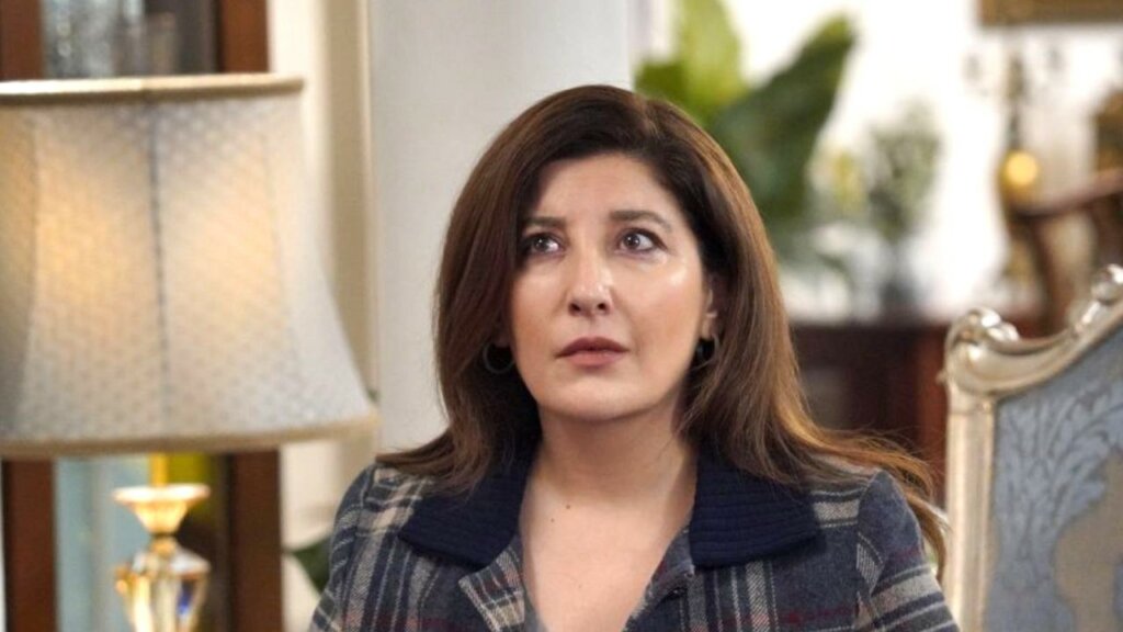 Ярость Ниляй и прощание с Мери: что покажут в 102 серии «Клюквенного щербета»