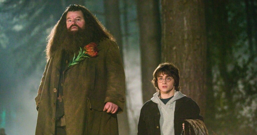 Режиссер культовых фильмов о Гарри Поттере не видит смысла в новом сериале о мальчике-волшебнике