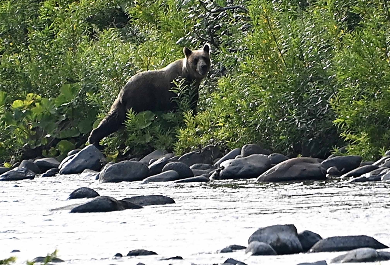 экспедиция на курилы 172VEL_3518