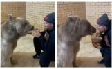 Русский боксер угостил медведя с ложки