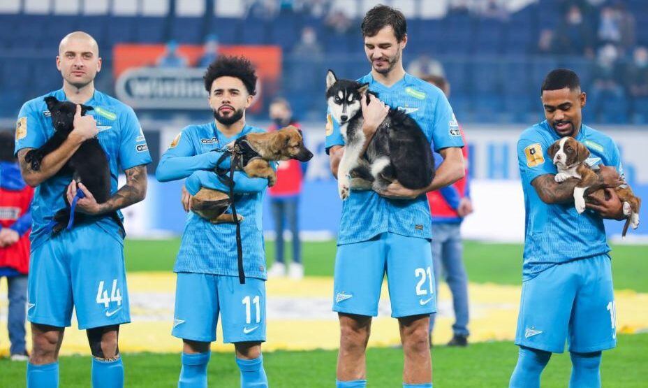 ФК «Зенит»
