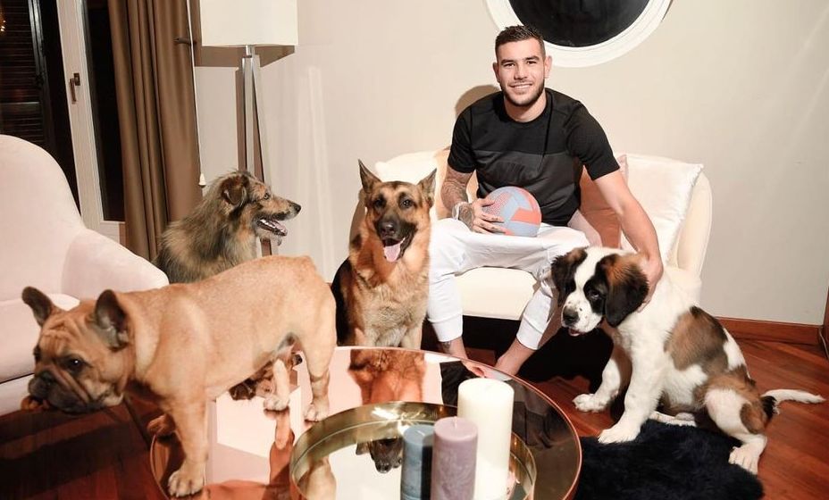 Футболист «Милана» с собаками. 
Фото: Instagram Тео Эрнандеса