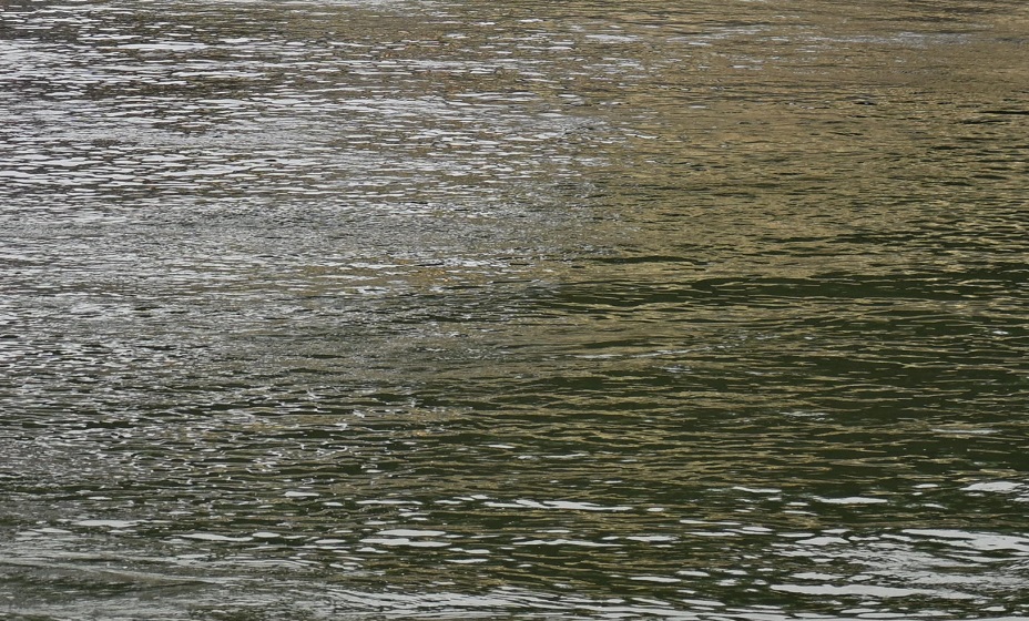 Шведский пловец Йоханссон снялся с заплыва на Олимпиаде из-за качества воды в Сене. Фото: Reuters