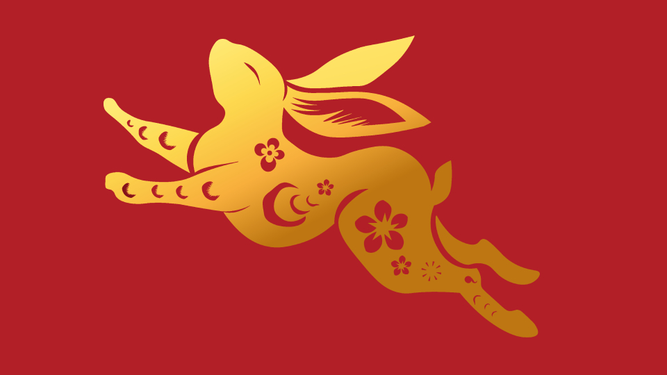 Год Кролика (Кота)