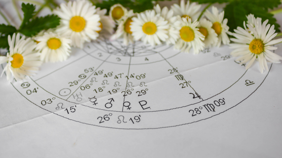 Гороскоп на август 2025 по знакам зодиака