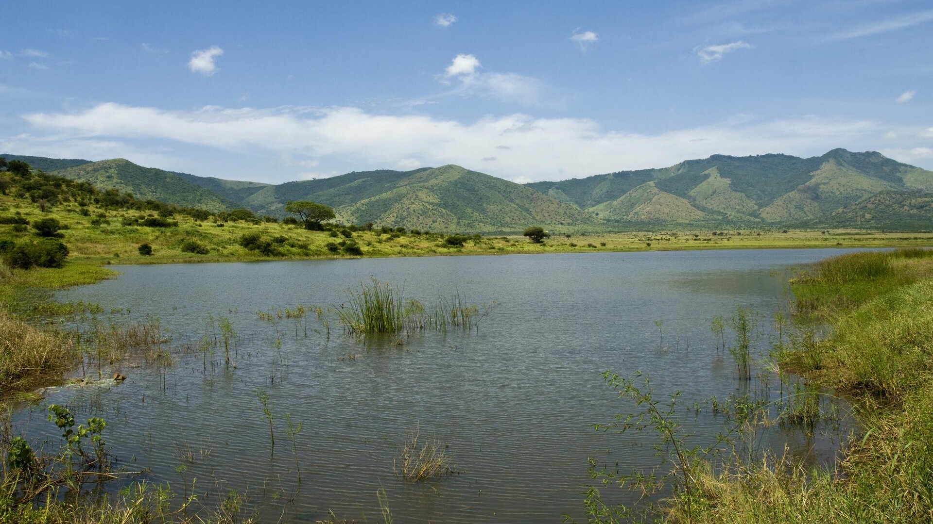 Водохранилище на севере парка Мкомази, Танзания.