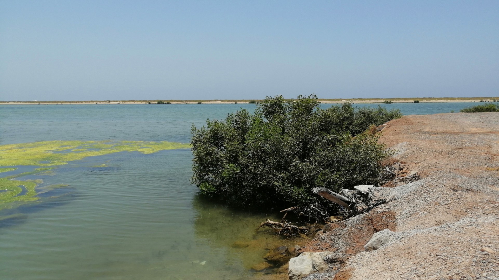 Спокойный берег пляжа Al Rams Beach в Рас-эль-Хайме.